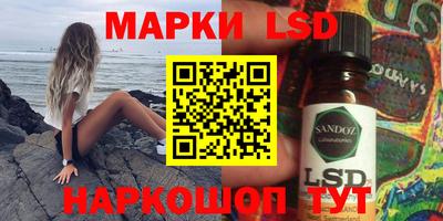 гидропоника Новозыбков
